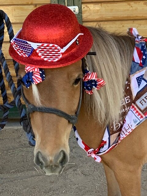 A close-up shot of the horse with the hat and kerchief